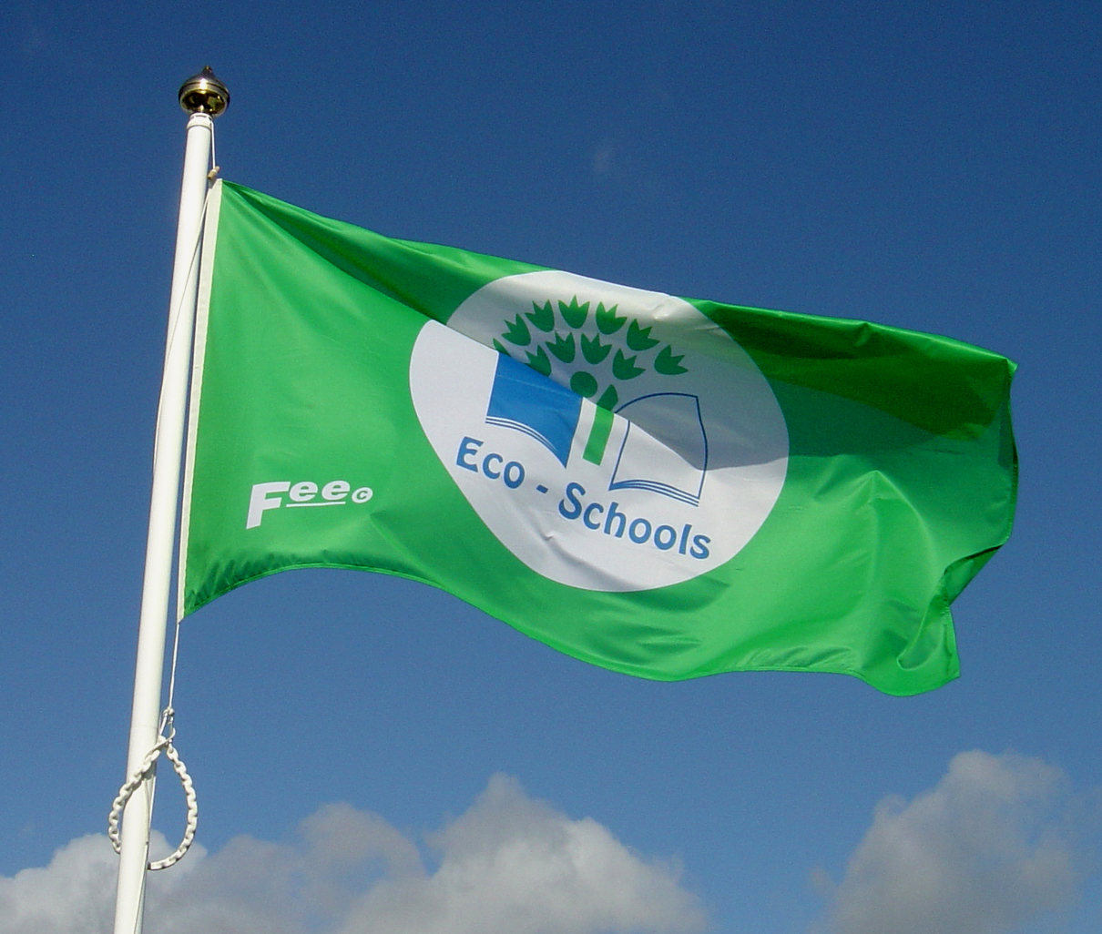Prep School awarded Eco-Schools Green Flag once again!